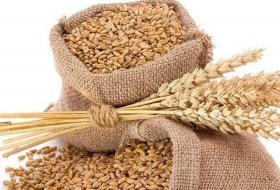 गहुँको मूल्यमा गिरावट ,समर्थन मूल्य तोक्न किसानको आग्रह